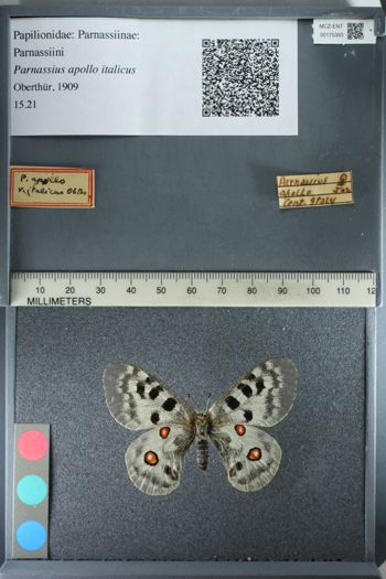 Media type: image;   Entomology 175393